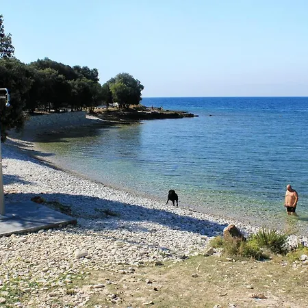 Family Friendly House With A Swimming Pool Smoljanci, Istria - Sredisnja Istra - 20873 * Svetvincenat
